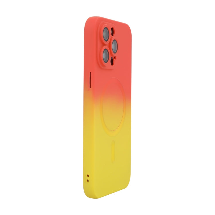 Apple iPhone Cases